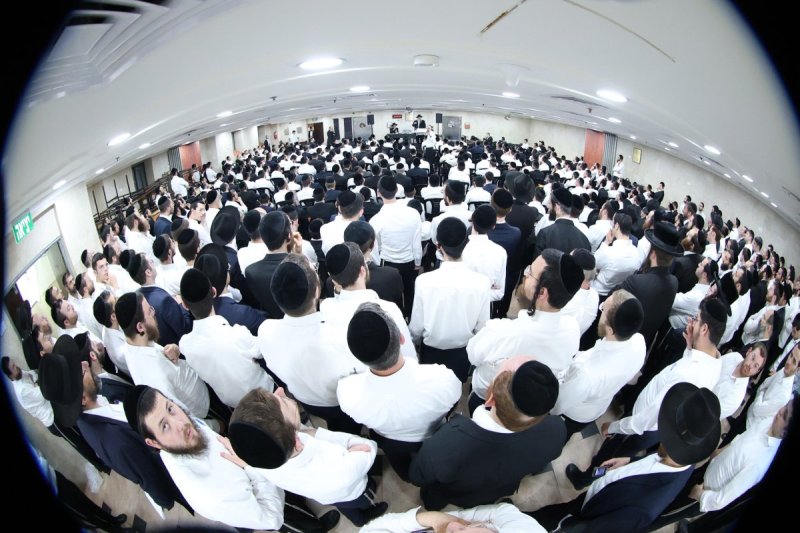 שלומי טריכטר