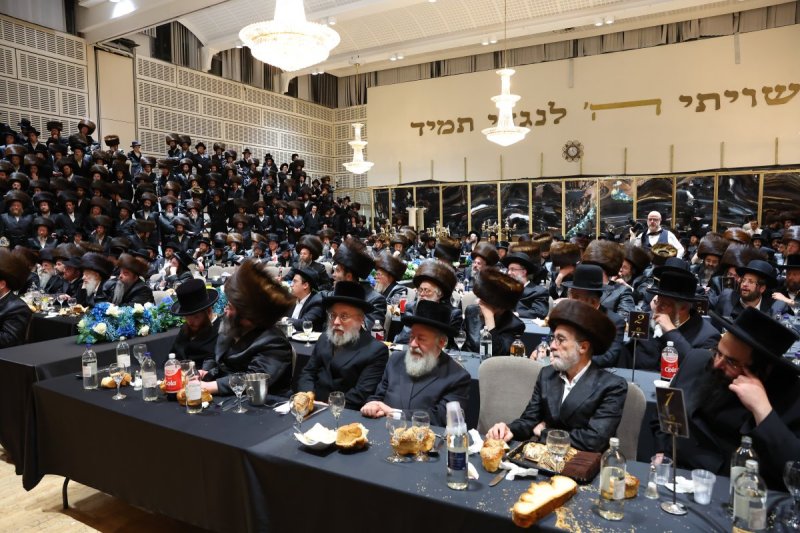 הערשי לינדנבוים ודודי בראון