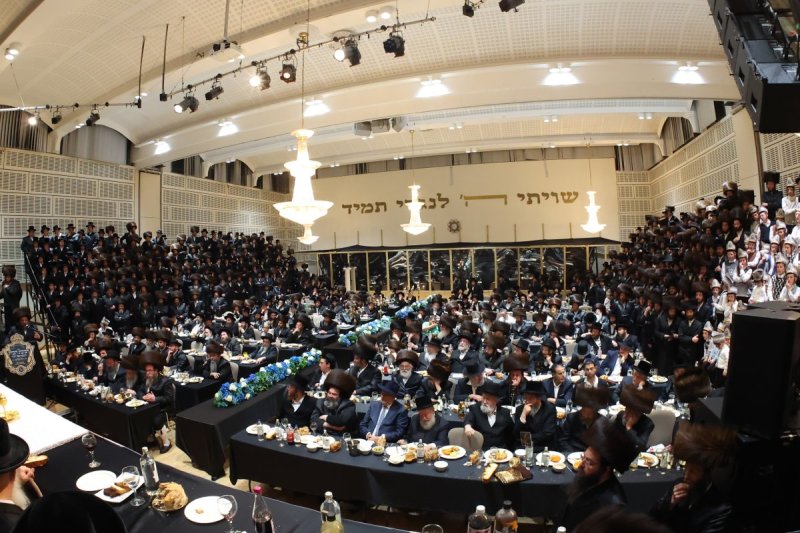 הערשי לינדנבוים ודודי בראון