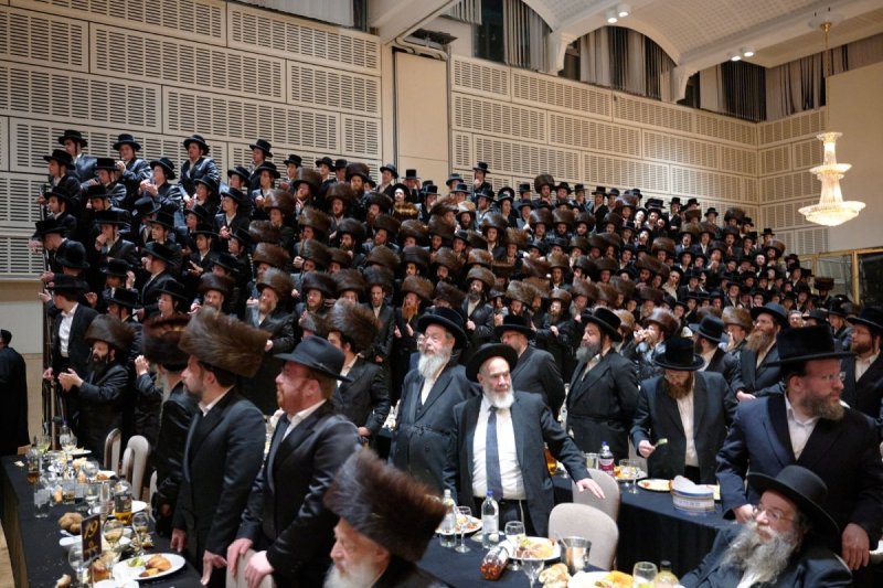 הערשי לינדנבוים ודודי בראון