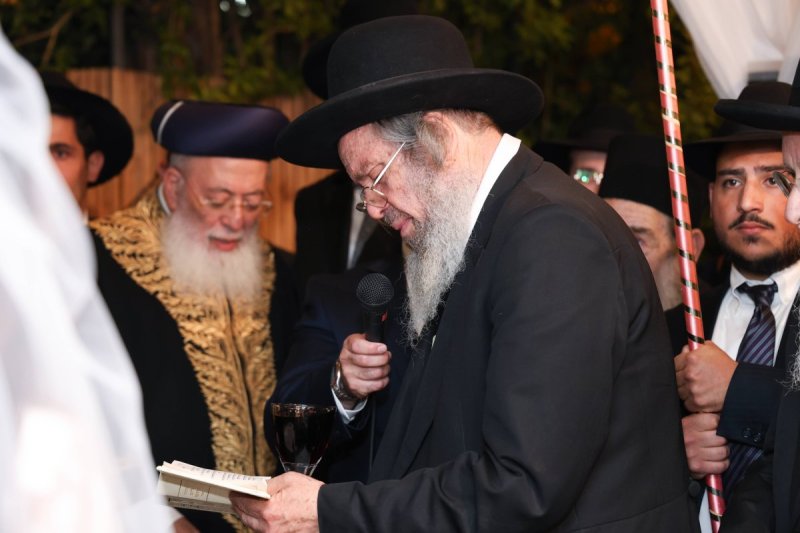 דוד ארזני