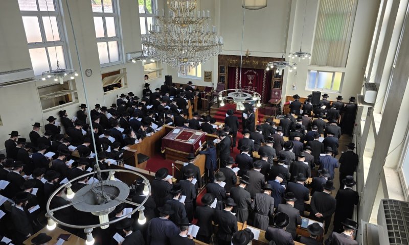 עצרת ענק במנצ'סטר: נמשכות התפילות לרפואת האדמו"ר מהורדנקא