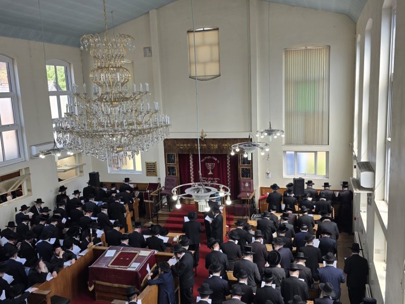 באדיבות המצלם