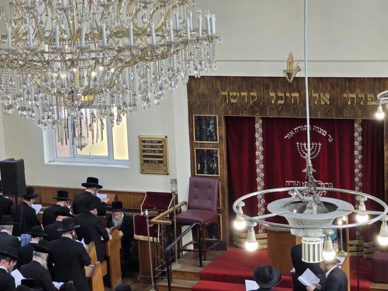 באדיבות המצלם
