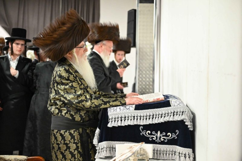 משה גולדשטיין