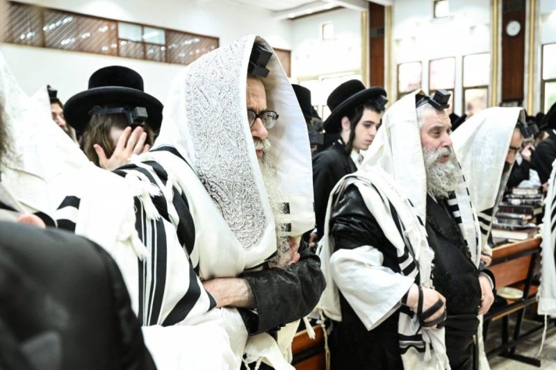משה גולדשטיין