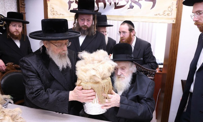 צמר של כבשים מיוחסים וברכת כהנים מרטיטה: מעמד 'ראשית הגז' במעונו של פוסק הדור