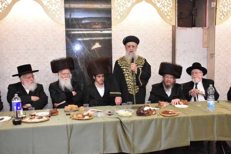 יהודה פרקוביץ