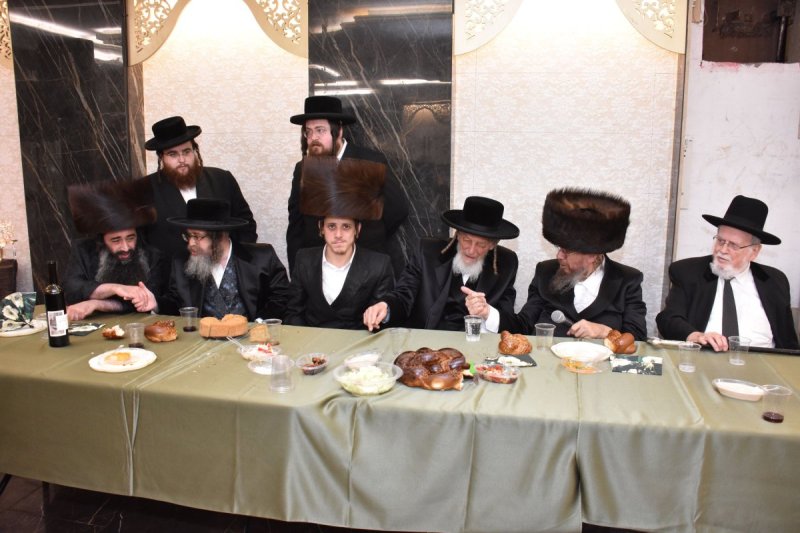 יהודה פרקוביץ