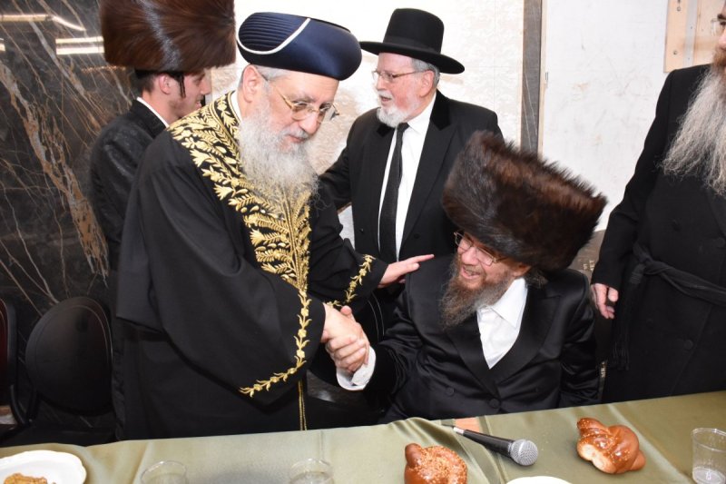 יהודה פרקוביץ