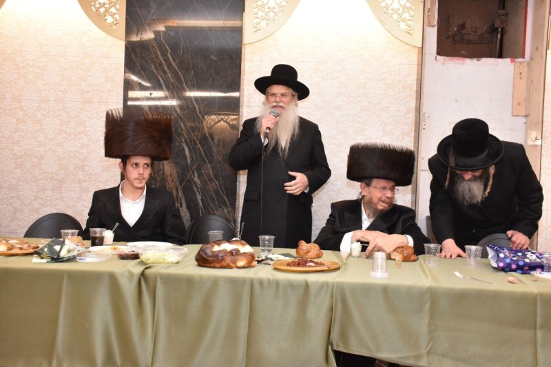 יהודה פרקוביץ