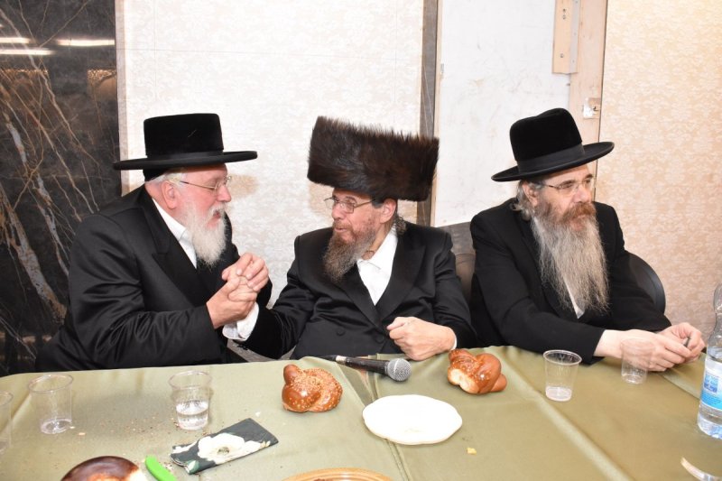יהודה פרקוביץ