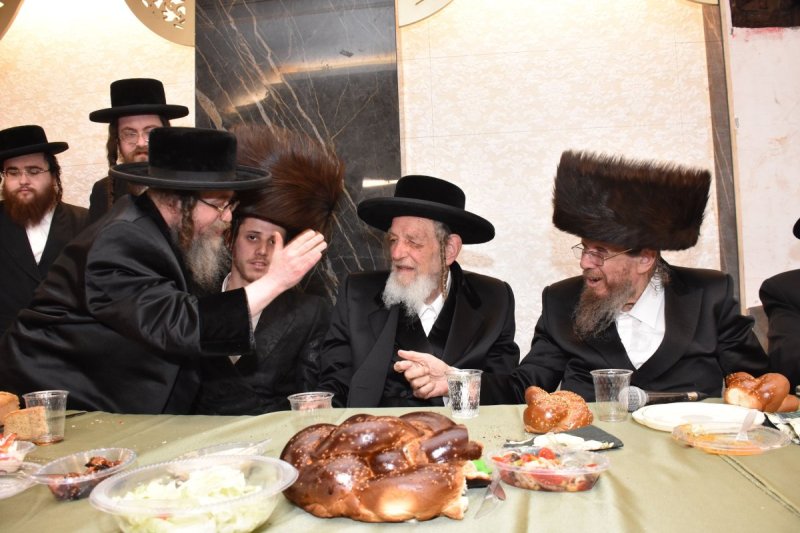 יהודה פרקוביץ