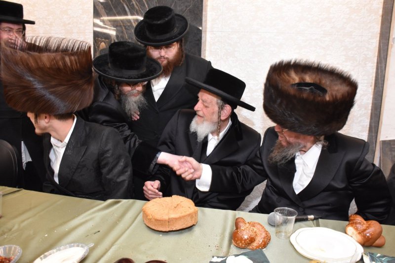 יהודה פרקוביץ