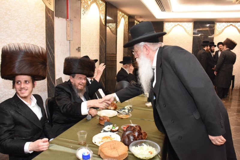 יהודה פרקוביץ
