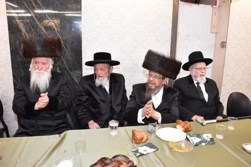 יהודה פרקוביץ