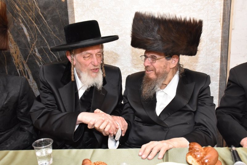 יהודה פרקוביץ