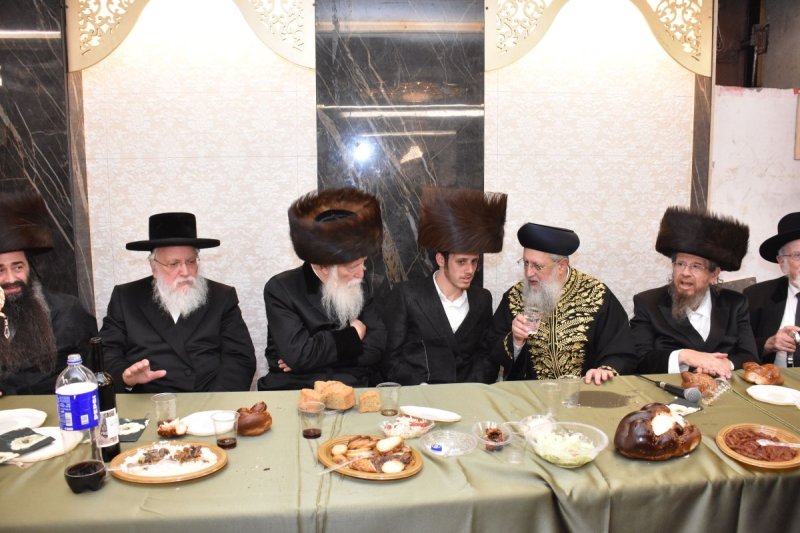 יהודה פרקוביץ