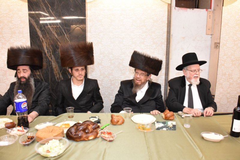 יהודה פרקוביץ