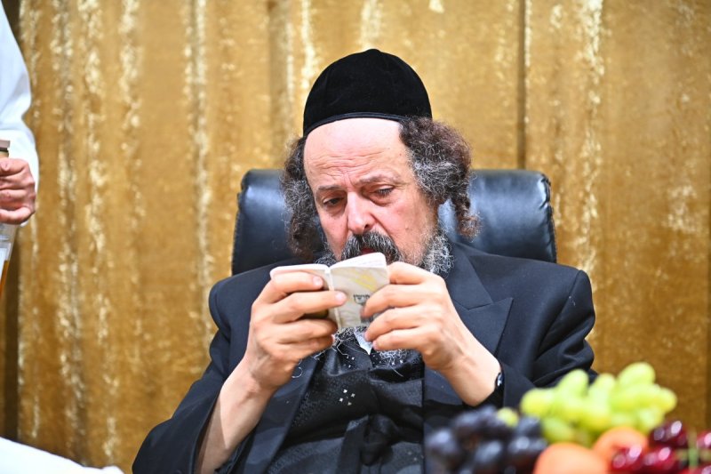 שוקי לרר