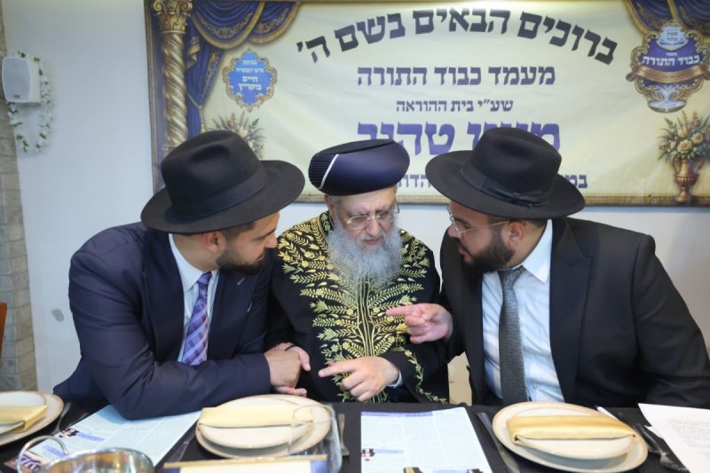 יעקב כהן