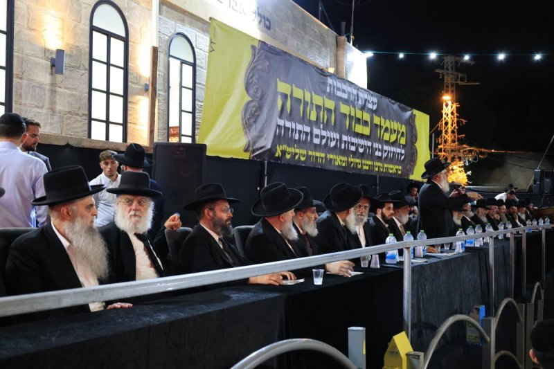 אריאל סר