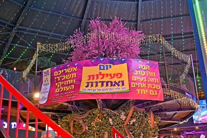 יהושע פרוכטר