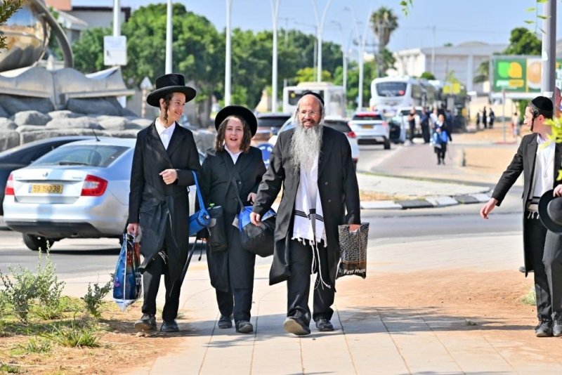 יהושע פרוכטר