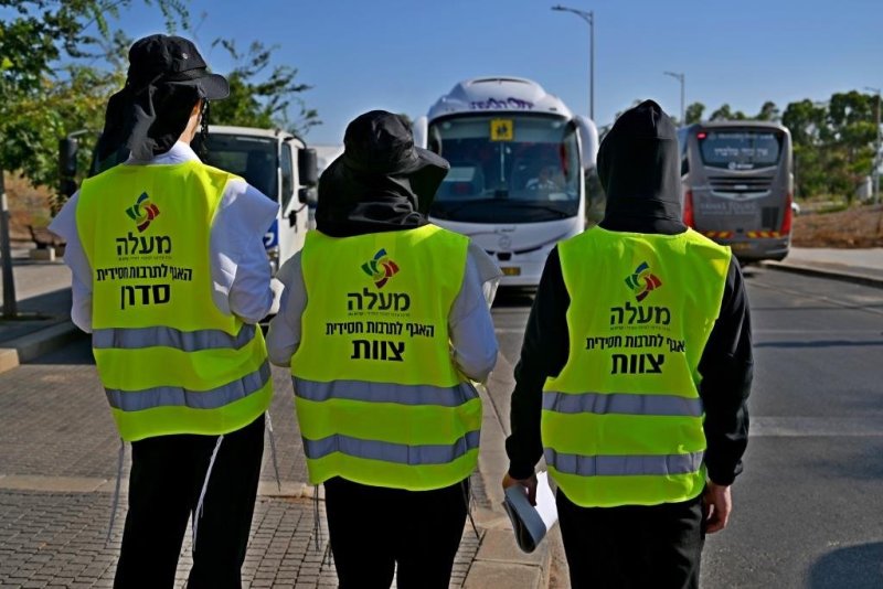 יהושע פרוכטר