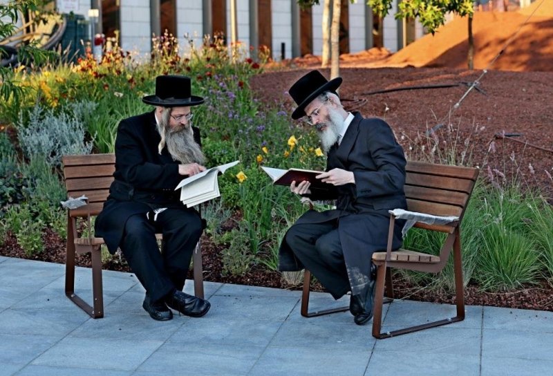 יהושע פרוכטר