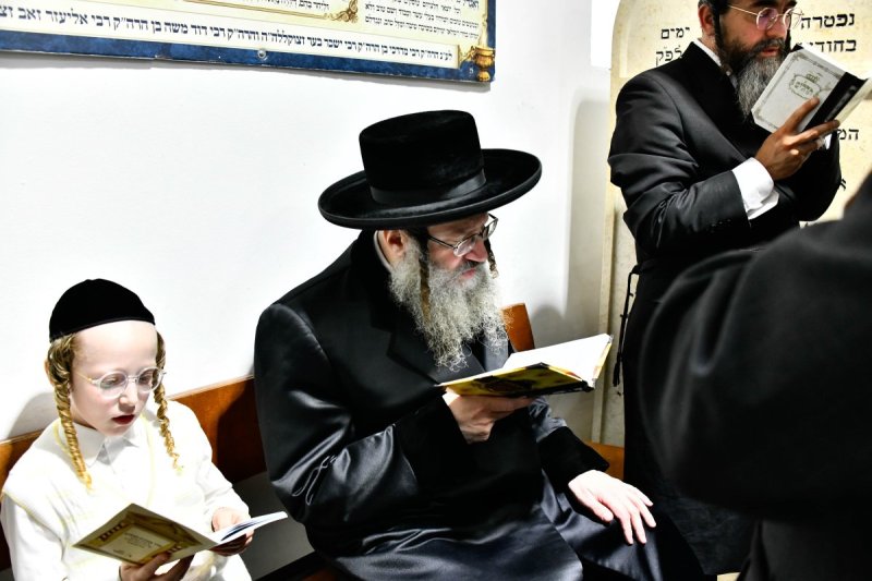 שוקי לרר