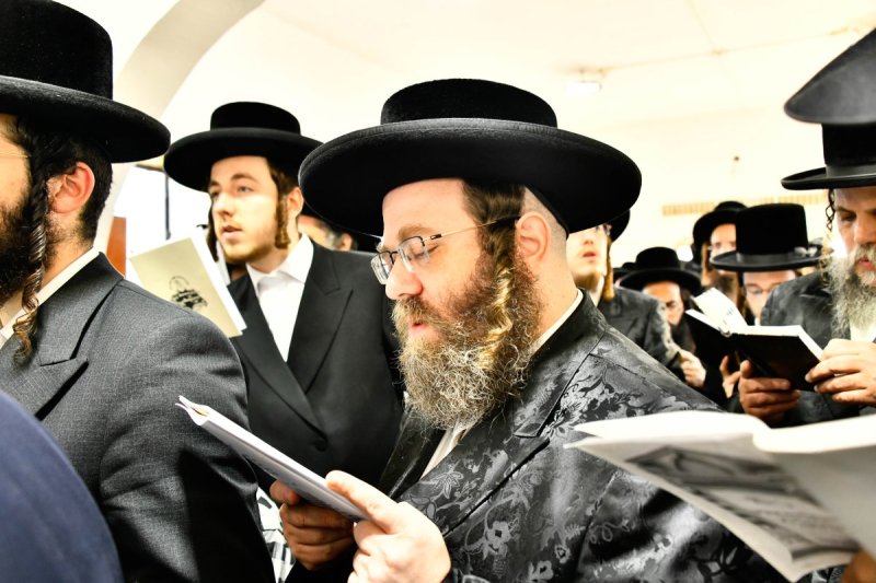 שוקי לרר
