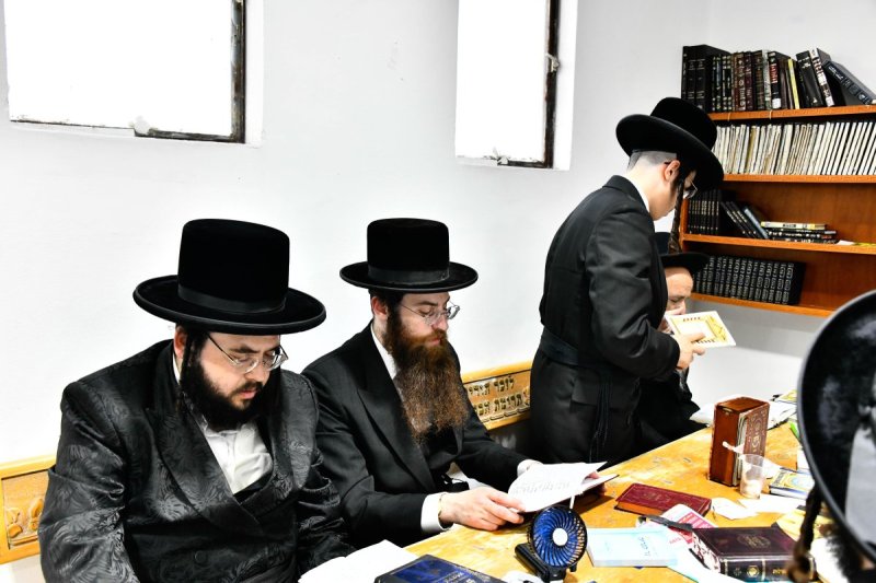 שוקי לרר