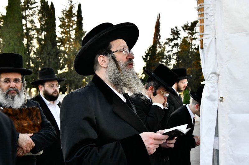 שוקי לרר