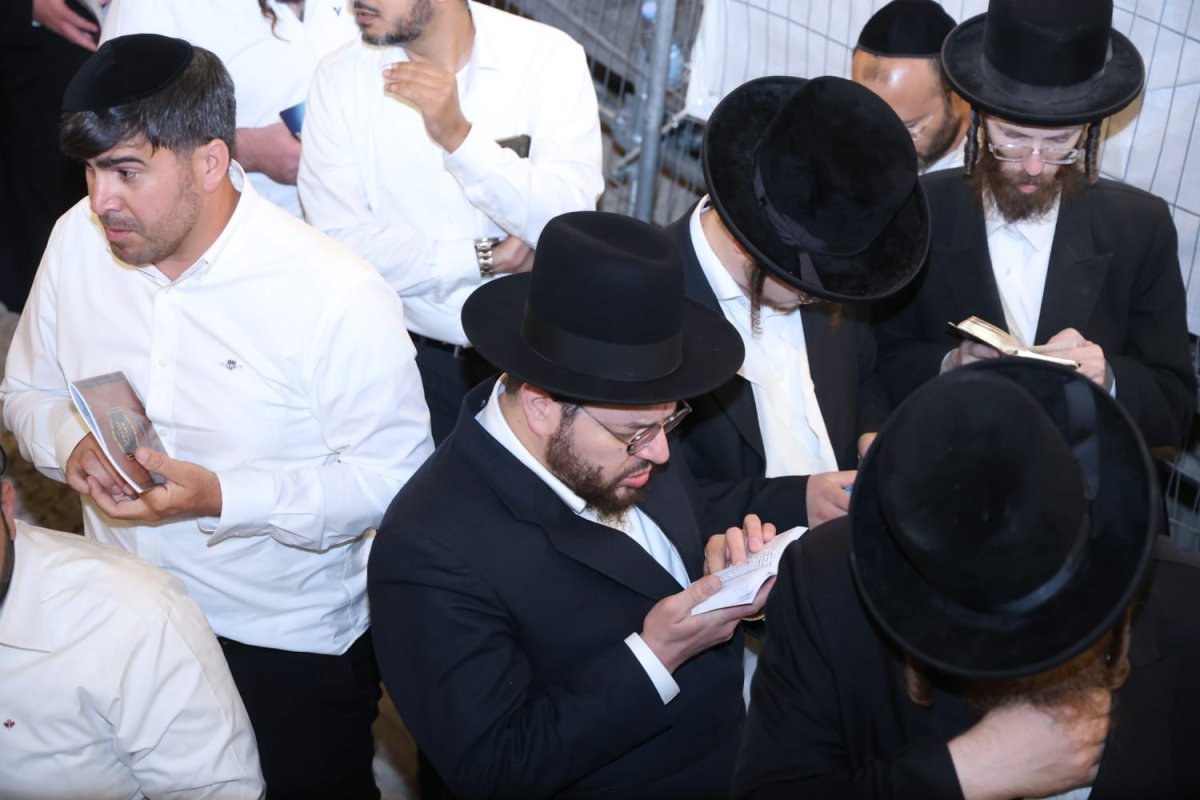 שלומי טריכטר