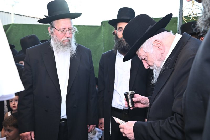 שוקי לרר