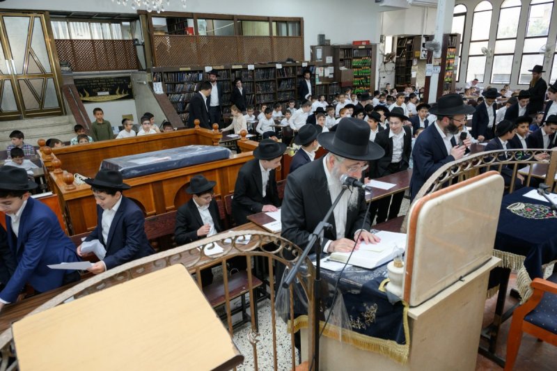 מנדי רוט