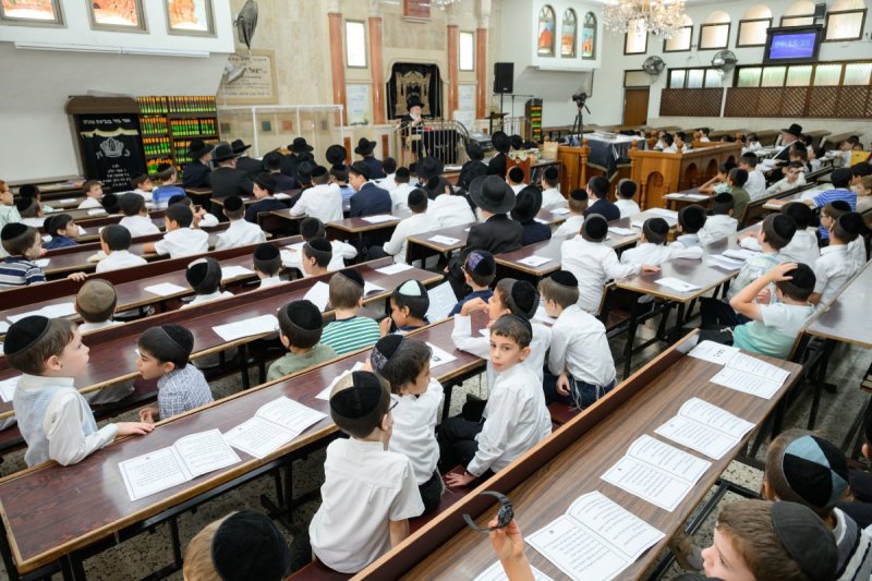 מנדי רוט