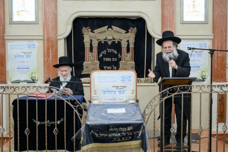 מנדי רוט