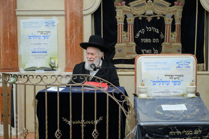 מנדי רוט