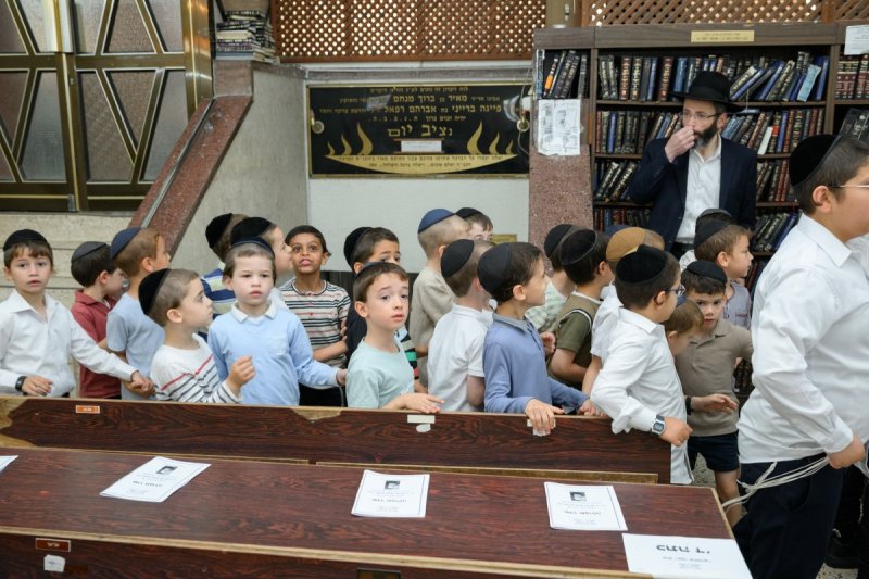 מנדי רוט