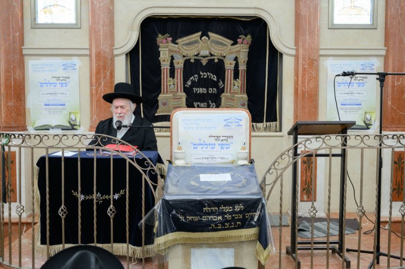 מנדי רוט