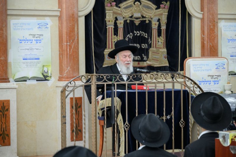 מנדי רוט