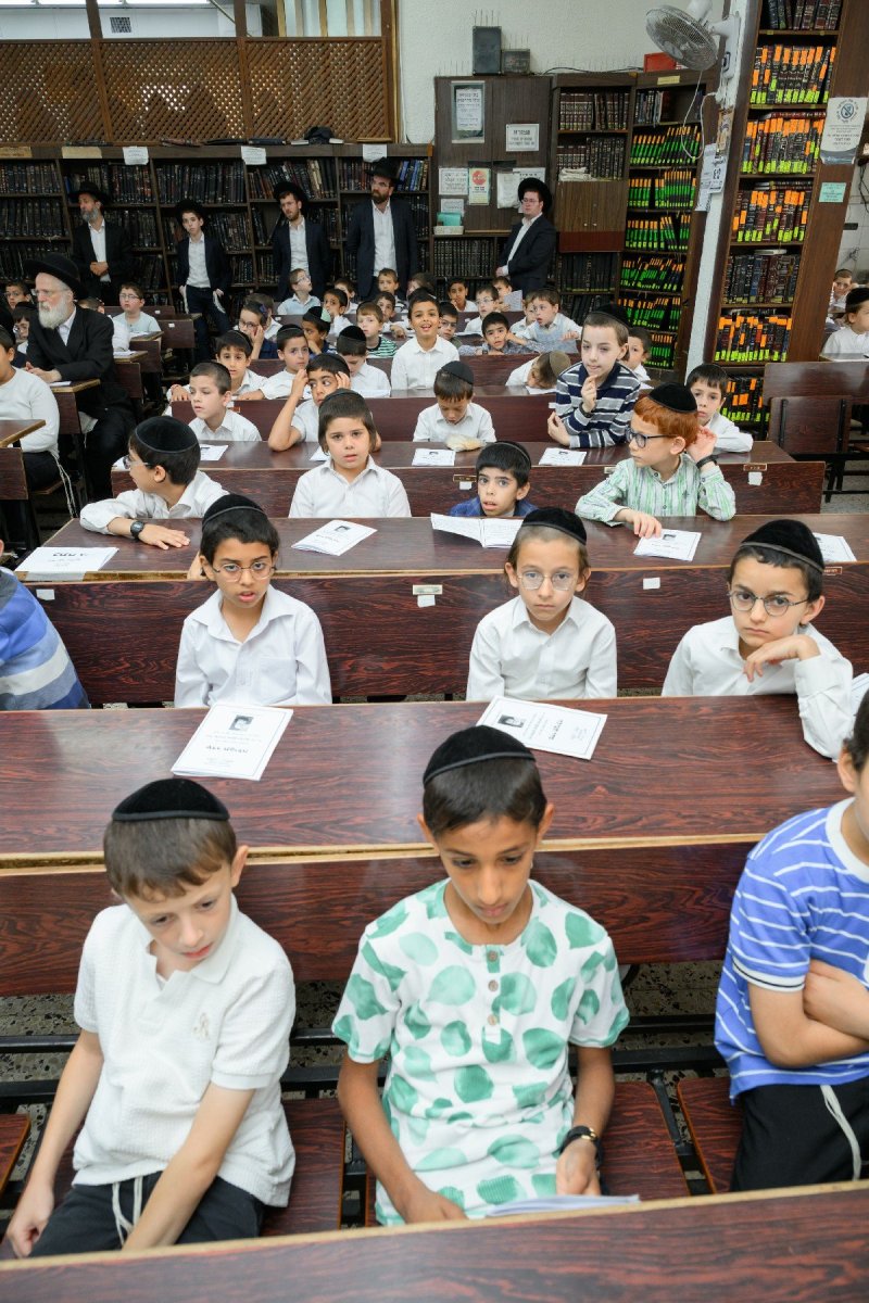מנדי רוט