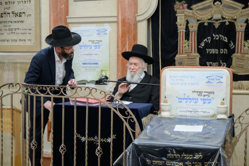 מנדי רוט