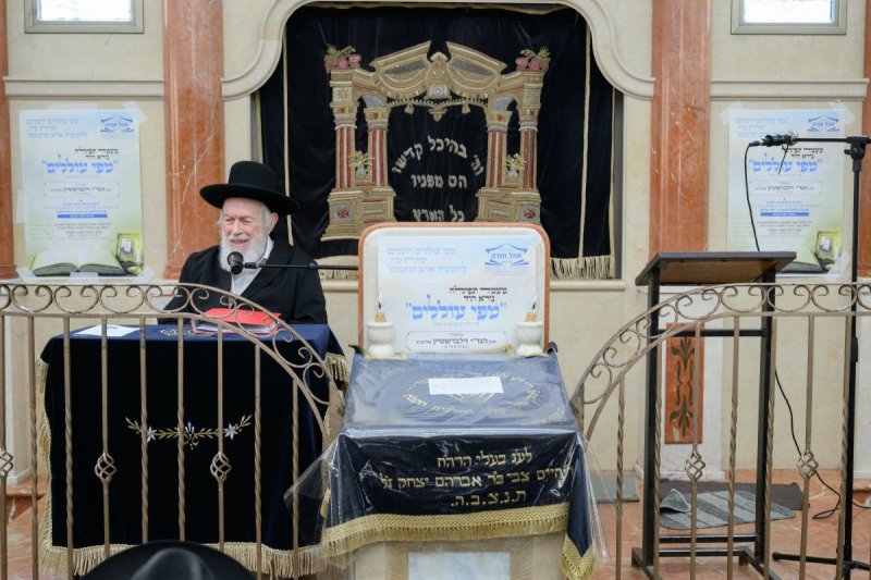 מנדי רוט