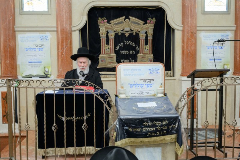 מנדי רוט