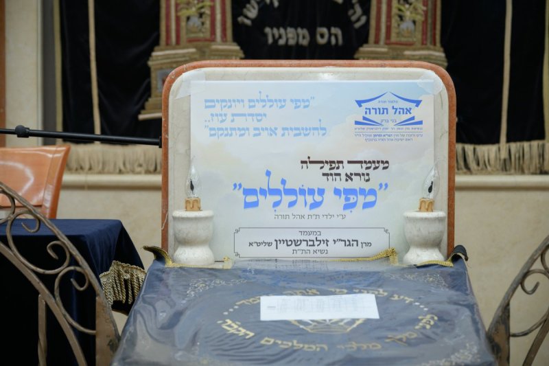 מנדי רוט