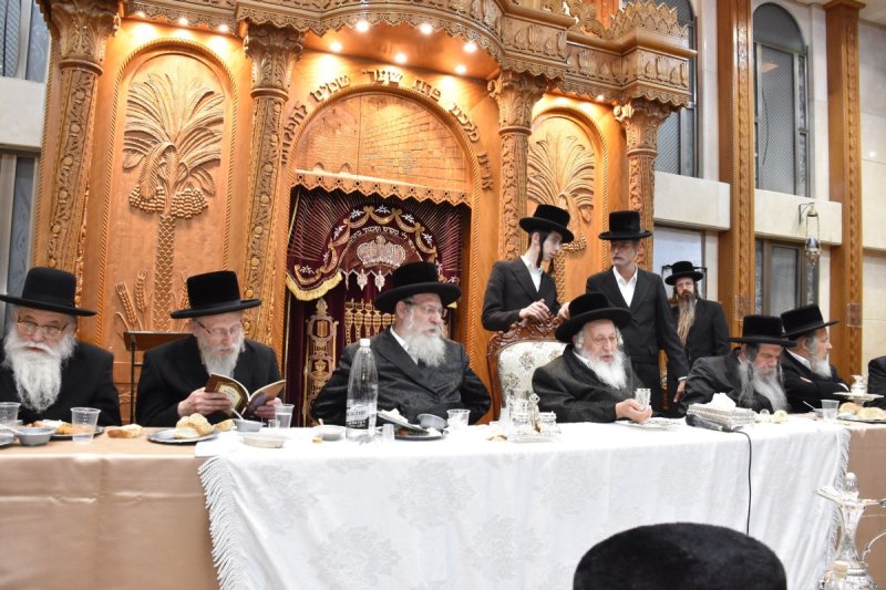 יהודה פרקוביץ