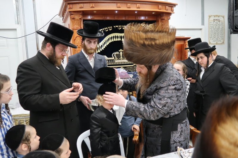 י. פריד